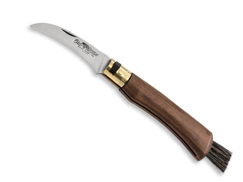 Mushroom knife with brush Old Bear walnut