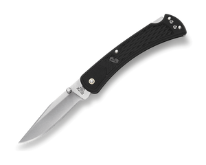 Buck 110 Slim Select folding knife