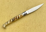 Sardinian knife Stefano Bellu Pattada sheep horn 2