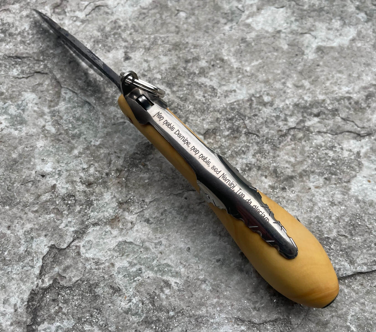 Couteau du Larzac Fidelis buis brut de forge, vue 2