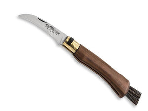 Mushroom knife with brush Old Bear walnut